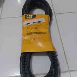 cat 4p 8087