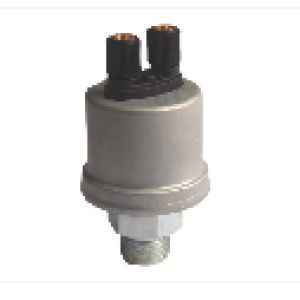 hde2306162675