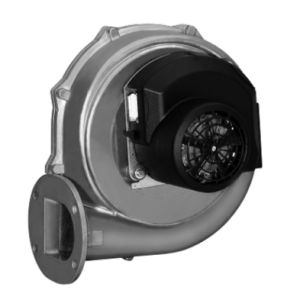 hde250311af7f