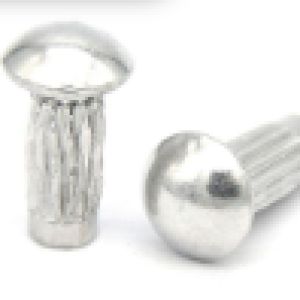 hde2503257c50