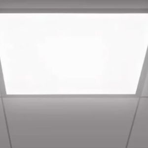 hde261019e9bc